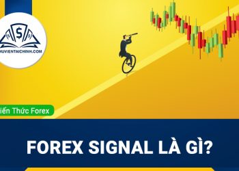 Forex signal là gì? Cách thức hoạt động của tín hiệu Forex