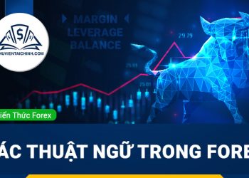 Giải thích các thuật ngữ trong Forex