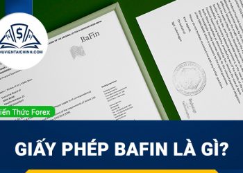 Giấy phép BaFIN là gì? Tìm hiểu về giấy phép BaFIN