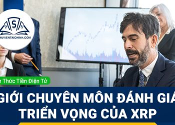 Lý do tại sao giới chuyên môn đánh giá triển vọng của XRP khá lạc quan?