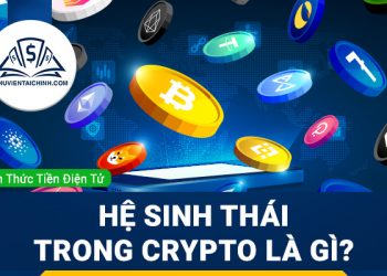 Hệ Sinh Thái Trong Crypto Là Gì ? Tìm hiểu các hệ sinh thái trong coin