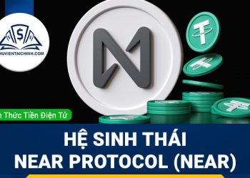 Hệ sinh thái Near Protocol (NEAR) gồm có những gì ? 