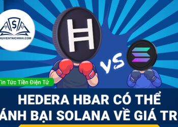 Hedera HBAR Có Thể Đánh Bại Solana về giá trị?