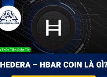 Hedera – HBAR coin là gì? Đánh giá tiềm năng của đồng Hedera?