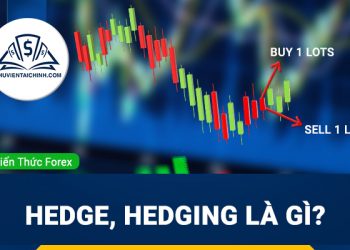 Hedge, Hedging là gì? Chiến lược sử dụng hedging phù hợp