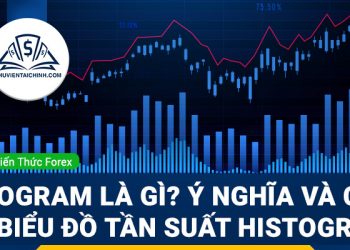 Histogram là gì? Ý nghĩa và cách vẽ biểu đồ tần suất Histogram