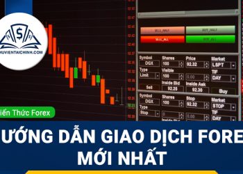 Forex là gì? Hướng dẫn giao dịch Forex mới nhất
