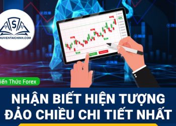 Hướng dẫn nhận biết hiện tượng đảo chiều chi tiết nhất