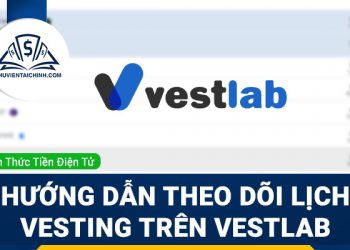 Vesting là gì? Hướng dẫn theo dõi lịch Vesting trên VestLab