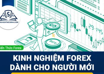 Kinh nghiệm forex: Các lưu ý dành cho người mới bắt đầu