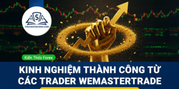 Kinh nghiệm thành công từ các trader WeMasterTrade