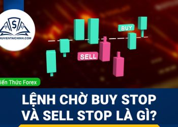 Lệnh chờ Buy Stop và Sell Stop là gì?