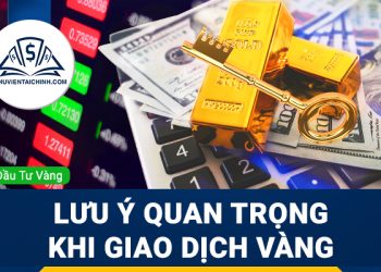 Polkadot là gì? Thông tin tổng quan về đồng DOT Coin