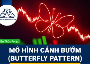 Mô hình Cánh bướm (Butterfly Pattern) là gì?