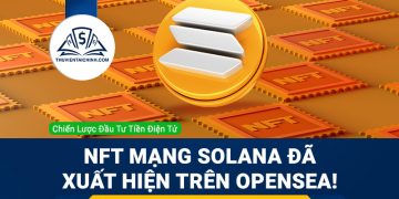 NFT mạng Solana (SOL/USD) đã xuất hiện trên OpenSea!