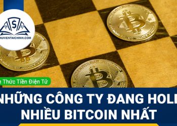 Những công ty đang HOLD nhiều Bitcoin nhất thế giới hiện nay 2023