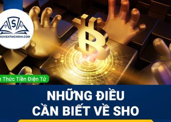 SHO là gì? Những điều cần biết về SHO