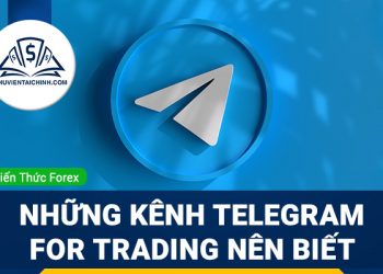 Những kênh Telegram for trading mà trader nên biết