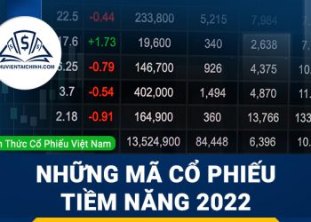 Những mã cổ phiếu tiềm năng 2023
