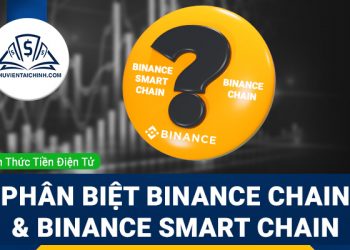 Hướng dẫn phân biệt Binance Chain và Binance Smart Chain