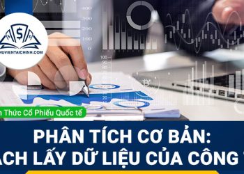 Học phân tích cơ bản chứng khoán: cách lấy dữ liệu của công ty