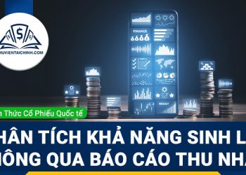 Dùng báo cáo thu nhập để phân tích khả năng sinh lời công ty