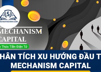 Mechanism Capital là gì? Phân tích xu hướng đầu tư của Mechanism Capital