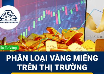 Polkadot là gì? Thông tin tổng quan về đồng DOT Coin