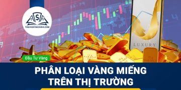 Polkadot là gì? Thông tin tổng quan về đồng DOT Coin