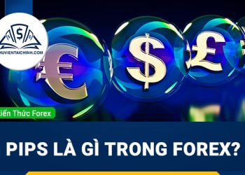 Pips là gì trong forex? Cách tính số pip trong forex