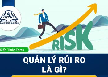 Thống kê hiệu suất giao dịch trong ngoại hối