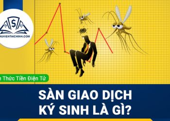 Sàn giao dịch ký sinh là gì và lý do bạn cần tránh sử dụng chúng?