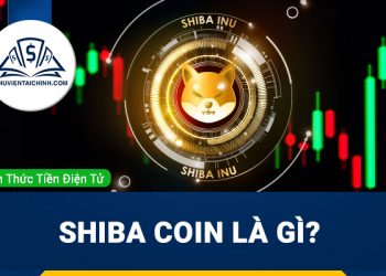 Shiba coin là gì? Tổng quan về dự án shibacoin
