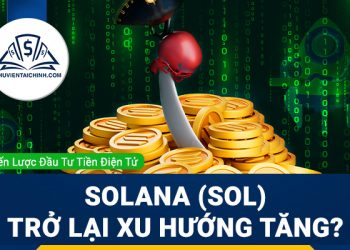 Solana (SOL) trở lại xu hướng tăng