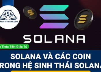 Tìm hiểu về Solana và các coin trong hệ sinh thái này
