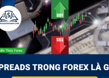 Lịch sử Forex và sự phát triển của thị trường tỷ đô