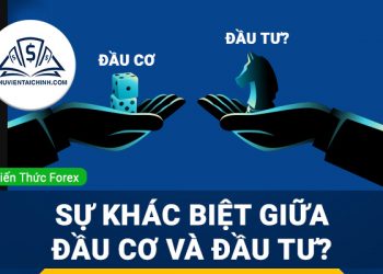 Đầu cơ là gì? Sự khác biệt giữa đầu cơ và đầu tư?