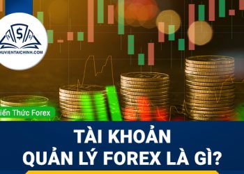 Tìm hiểu tài khoản quản lý Forex là gì?