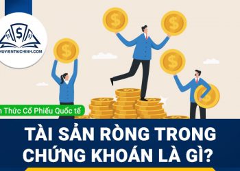 Tài sản ròng là gì? Cách tính và ý nghĩa trong chứng khoán