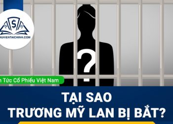 Tại sao Trương Mỹ Lan bị bắt?