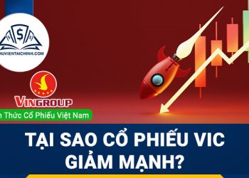 Tại sao cổ phiếu VIC giảm mạnh?