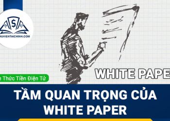 White Paper là gì? Tầm quan trọng của White Paper đối với một dự án