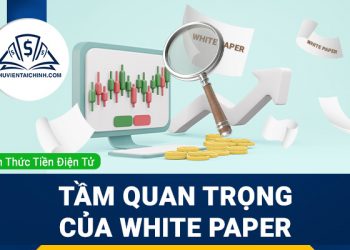 White Paper là gì? Tầm quan trọng của White Paper khi đầu tư Crypto