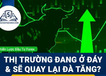 Thị trường đang ở đáy và sẽ quay lại đà tăng?