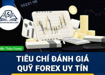 Các tiêu chí đánh giá và chọn một quỹ forex uy tín 