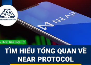 NEAR Protocol là gì? Thông tin tổng quan về NEAR Protocol