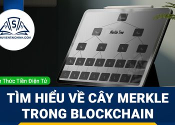 Merkle Tree là gì? Tìm hiểu cơ bản về Cây Merkle trong Blockchain