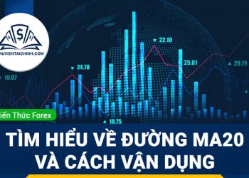 Đường MA20 là gì? Vận dụng đường MA20