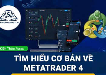 Thống kê hiệu suất giao dịch trong ngoại hối