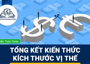Tổng kết kiến thức kích thước vị thế